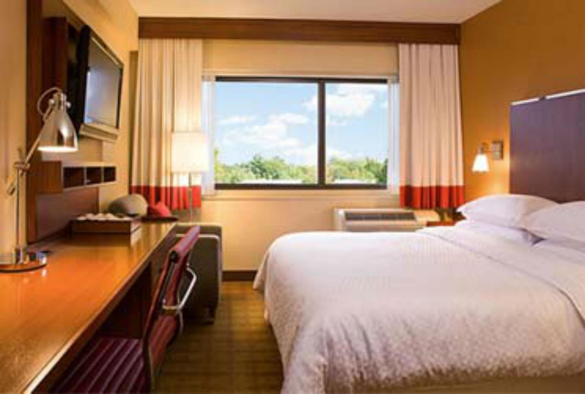 Four Points By Sheraton Punta Cana Oda fotoğraf